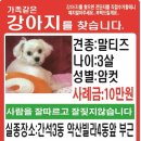 간석3동-3 이미지