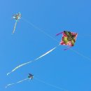 청호동 해변 이미지