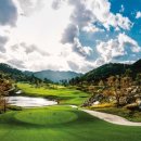 골프킹 아카데미 이미지