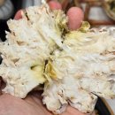 참바다횟집 이미지