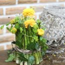 컨포지움 이미지