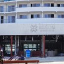 아일랜드리솜 이미지