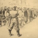 구라피쉬 이미지