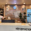 남산동물병원 | 남산동물병원, 고양이 관절염도 관리가 필요한 이유