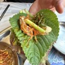 은곡상회 | 세곡동 맛집, 은곡상회 :: 냉삼맛있는 세곡동고기집 (내돈내산 솔직후기)