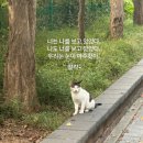 성실이발관 이미지