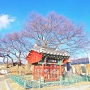 정선전씨 효부문 네이버블로그