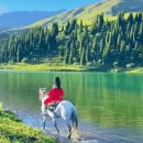 덕포시장길 이미지