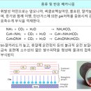 보일러 수처리의 중요성(2) : 배관 내 녹은 왜 생길까요? 이미지