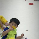 용인대 k-타이거즈 태권도장 이미지