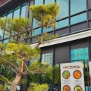 육회한판 장어한상 | 오산 장어 맛집 자포니카 서비스 양심장어 오산청호점