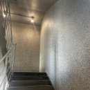 삼락생태공원 | 벚꽃 막차 사상대형카페 오르디 후기 -삼락생태공원 벚꽃 대신 여기!