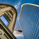 내마음의동물병원 이미지