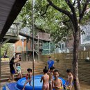 바바나무 이미지