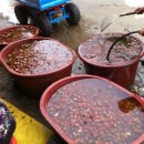 만년사슴농장 이미지