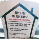집현다방 | 진주 알파카 체험 카페 "집현 다방" 후기