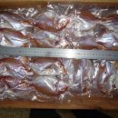 오늘의 생선 이미지