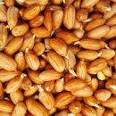 상안농장 이미지