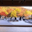 담은작은도서관 이미지