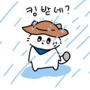 아리솔캠핑장 이미지