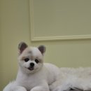 가위든개 이미지