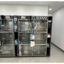 이서동물병원 이미지