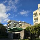 레드골프아카데미 | 제주도 곶자왈 안덕 숙소 머큐어앰배서더호텔 디럭스룸 3박 후기 / 라운지 /안덕 배달 맛집 강추하는 곳