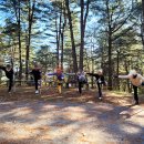 푸른숲요양병원 이미지