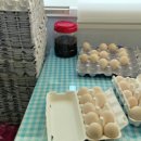 김병기농장 이미지