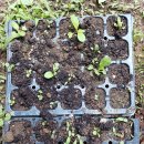 영남이용소 이미지