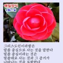 샬롬 - 종로구 율곡로17길 19 | 샬롬
