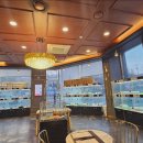 도그마루 강아지 고양이 부산점 이미지