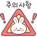 다애뷰티