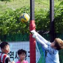 풋볼멘토스쿨