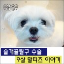 삼송사랑 동물의료센터 이미지