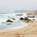 통발체험.그물체험(구산마을) 네이버블로그