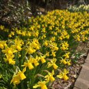 바위섬소도 이미지