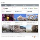 4월 국내여행지 추천 힐링여행 떠나려면 ~