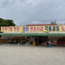 무지개청과 - 용인시 처인구 동부로 513 | 무지개청과
