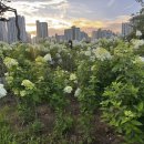 인성주유소 이미지