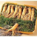 금산고려인삼도매 이미지