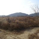 영천교차로 1 네이버블로그