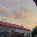 수망일기 이미지