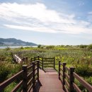 맥도생태공원 이미지