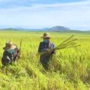 안정식농장 이미지