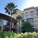 HK TRADING | 디즈니 익스플로러스 로지 Disney Explorers Lodge(스탠다드 더블룸,인룸서비스, 디즈니 기념품샵 후기)