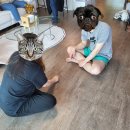 SUNSET 101 이미지