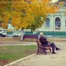 대구타운 이미지