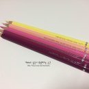색연필 보타니컬아트 네이버블로그