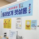 들려보개 펫살롱 이미지